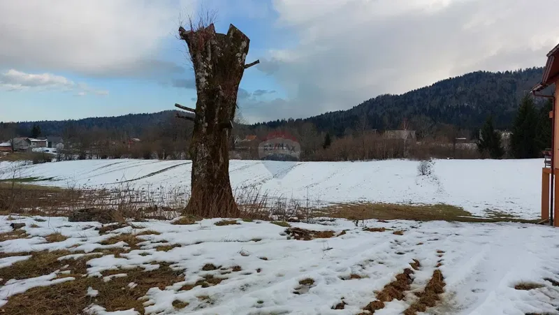 Telek Jasenak – 2
