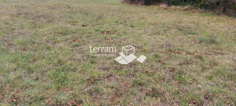 Istria, Liznjan agricultural land 4917m2 – 2