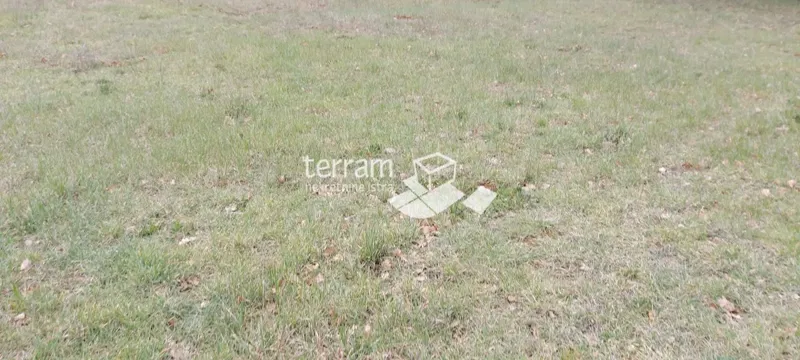 Istria, Liznjan agricultural land 4917m2 – 3