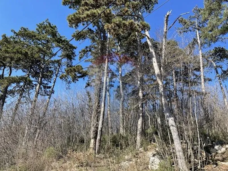 Działka Veprinac – 2