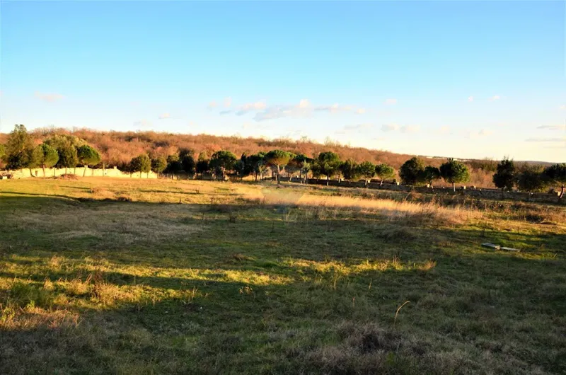 ISTRIA, KANFANAR - Complex of 2 houses and 6052 m2 of building land with sea view. – 2