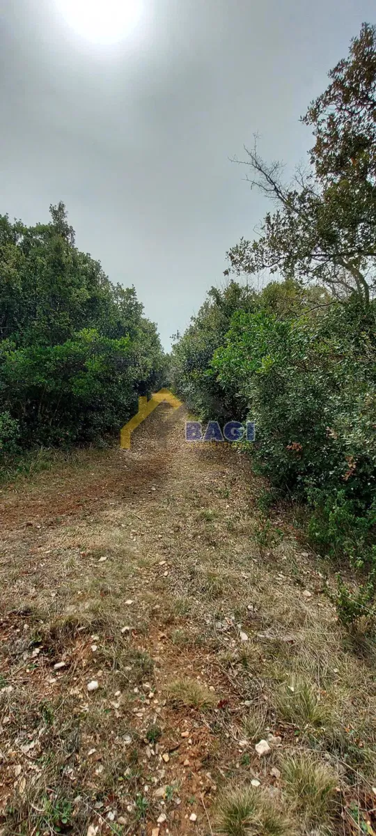 ISTRIA - DUGA UVALA Building land for camping – 2