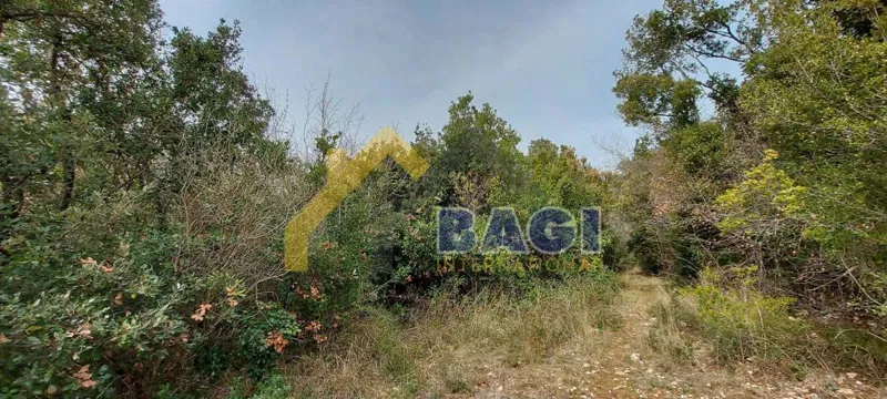 ISTRIA - DUGA UVALA Building land for camping – 3