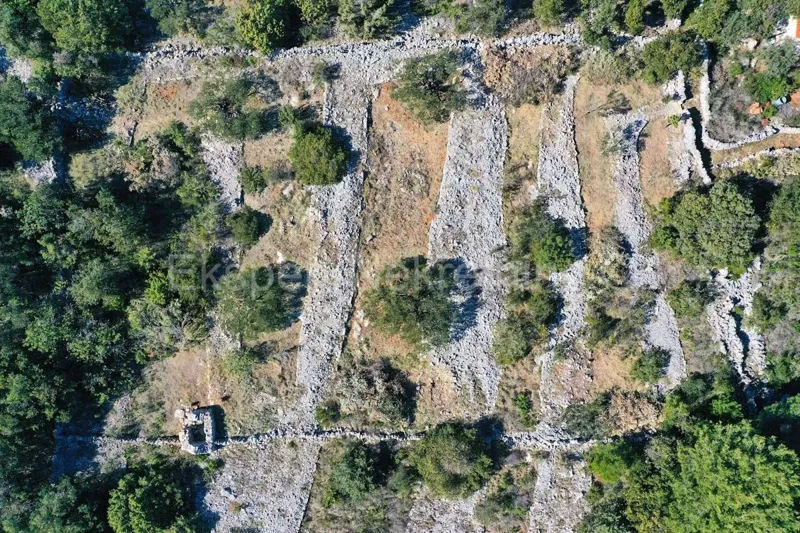 Drvenik Veli, Solinska, agricultural plot, land 1609 m2, 25 m from the sea – 3