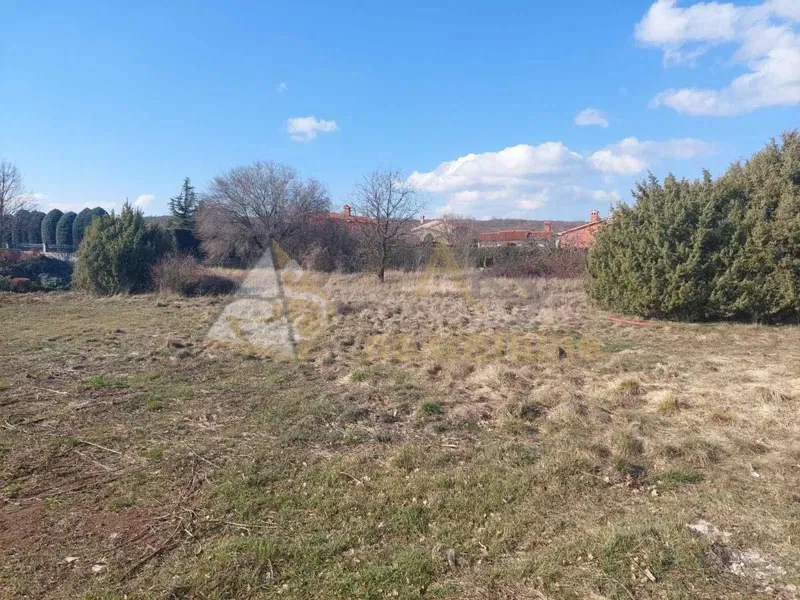 SPACIOUS FLAT PLOT – 2