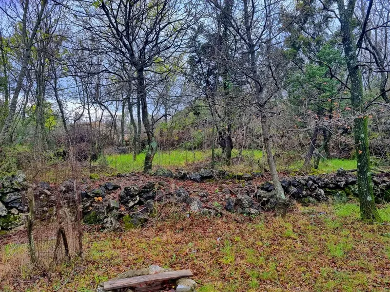 Krk, dintorni, terreno agricolo in una posizione tranquilla ai margini della zona edificabile, IN VENDITA! – 2