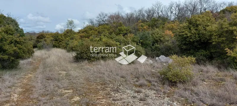 Istria, Bale agricultural land 11825m2,with a written building of 240m2 SEA VIEW – 2