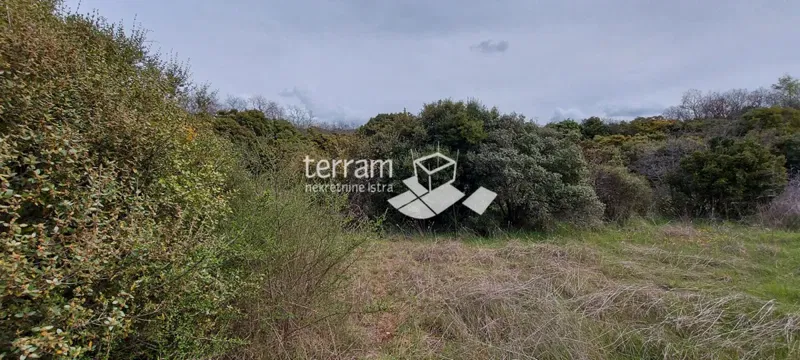 Istria, Bale agricultural land 11825m2,with a written building of 240m2 SEA VIEW – 3