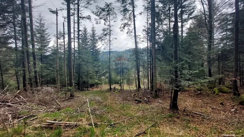 Terreno non edificabile Stari Laz, Ravna Gora, 30,75m2 – 2