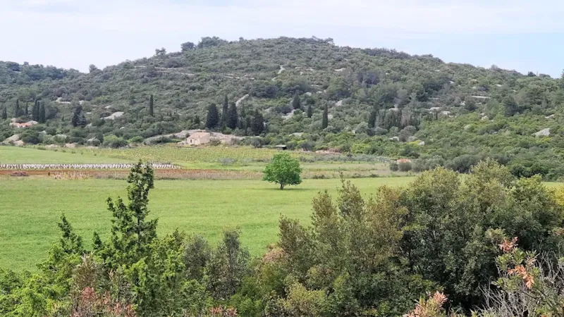 Vis island - agricultural plot of 7.490 sqm overlooking the field – 2