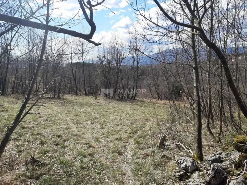 Marčelji, Viškovo, 6.500m2 – 2