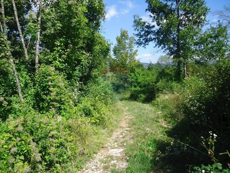 Non-structural plot Veli Brgud, Matulji, 953m2 – 2