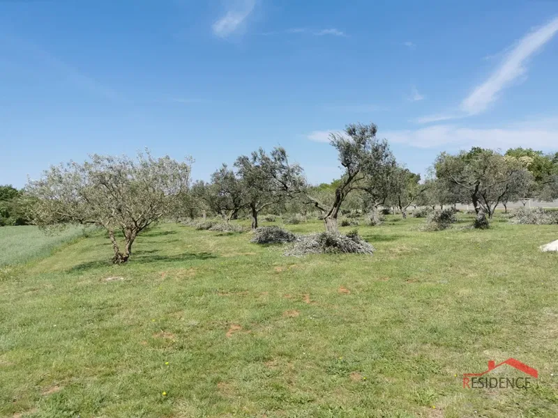Land Muntić – 2