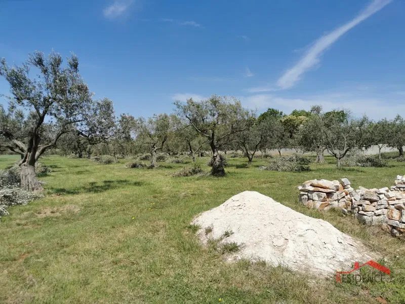 Land Muntić – 3