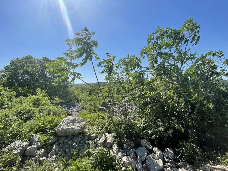 Building land with sea view – 3