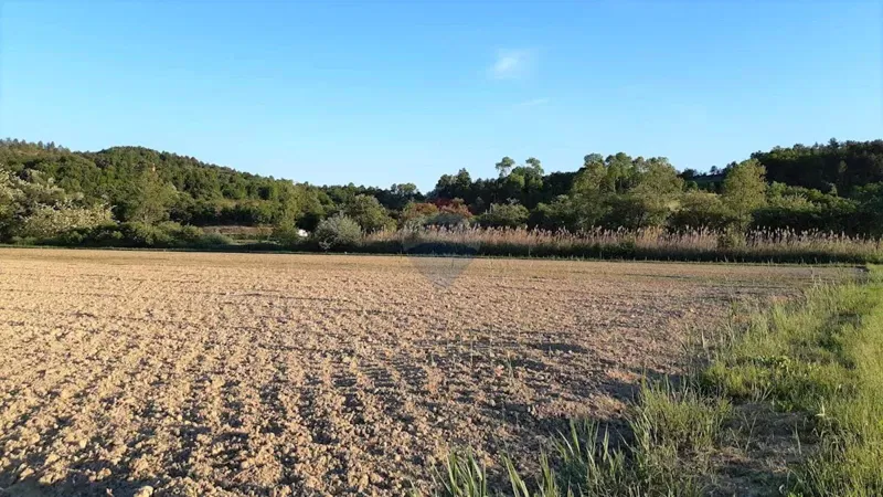 Terreno non edificabile Cerovlje, 18.775m2 – 2
