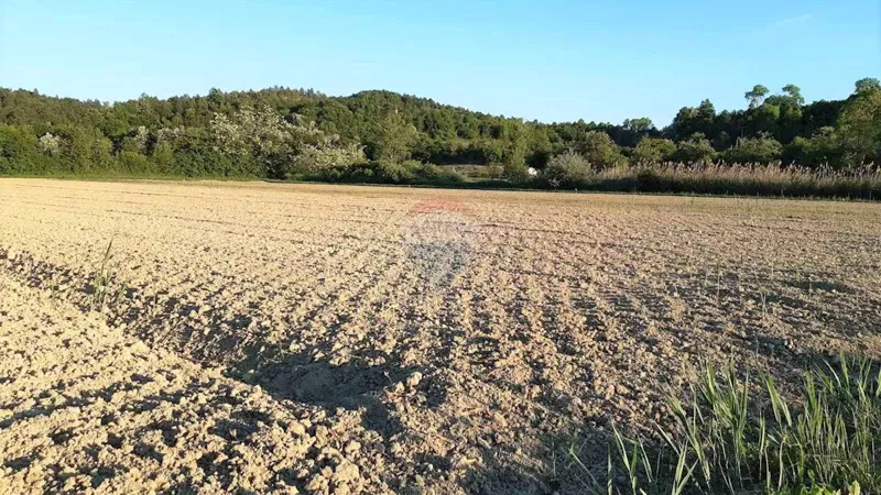 Terreno non edificabile Cerovlje, 18.775m2 – 3