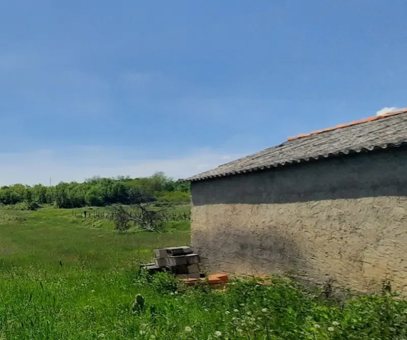 Land Pićan, 6.000m2 – 2
