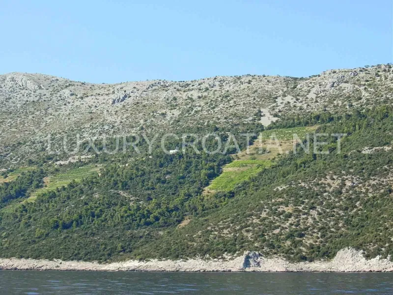 Vineyard land for sale Dingac Peljesac – 2