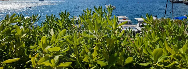 Croatia Korčula Island villa for sale by the sea with boat mooring – 2