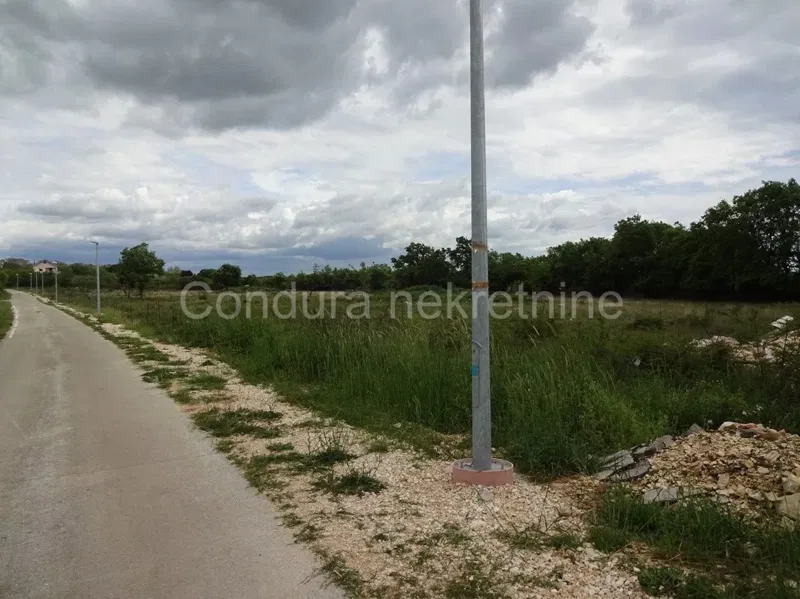 Telek Nin – 2