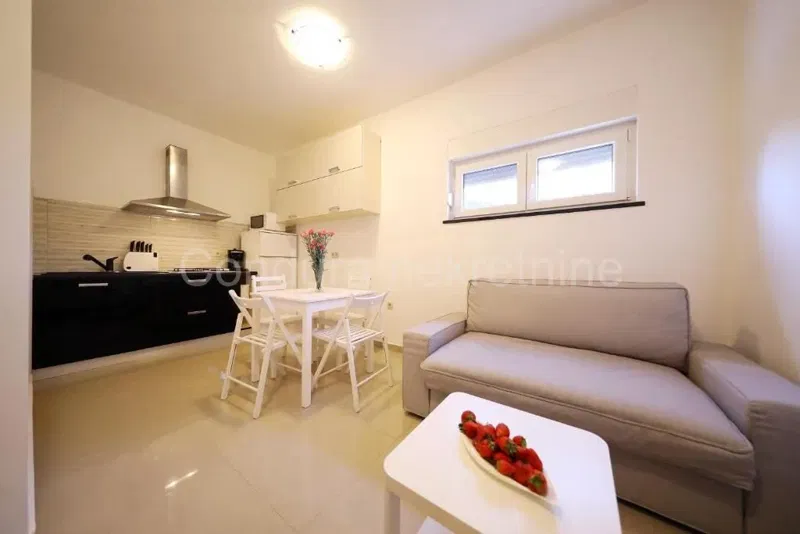 PRIVLAKA – APARTMENT HOUSE, SWIMMING POOL, JACUZZI, SAUNA!!! – 2