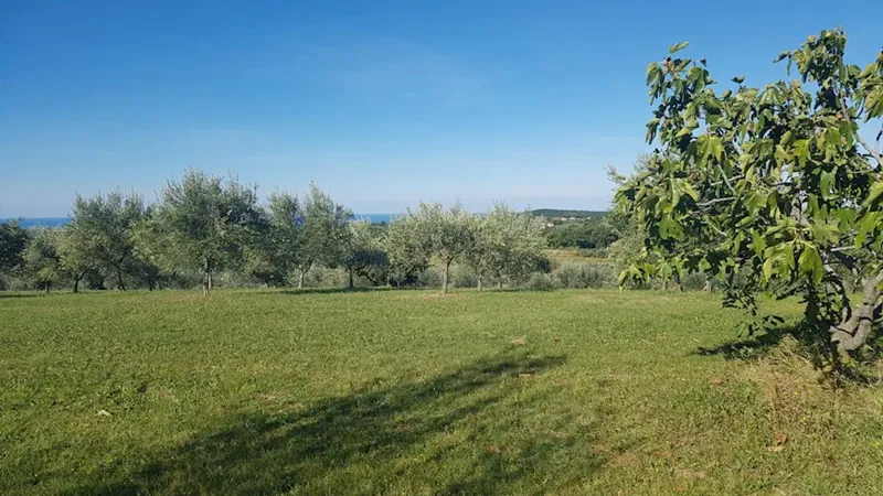 Real estate Istria, building land, near Buje – 2