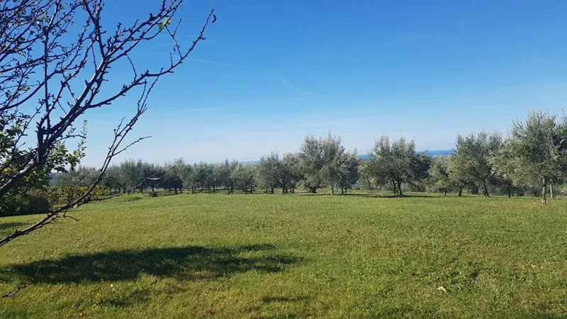 Real estate Istria, building land, near Buje – 3