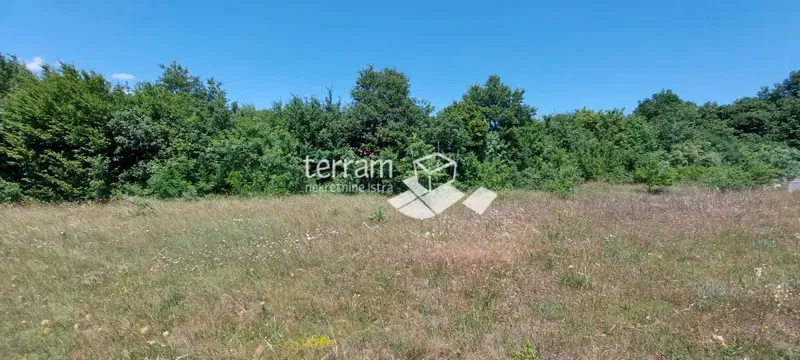 Telek Svetvinčenat – 3