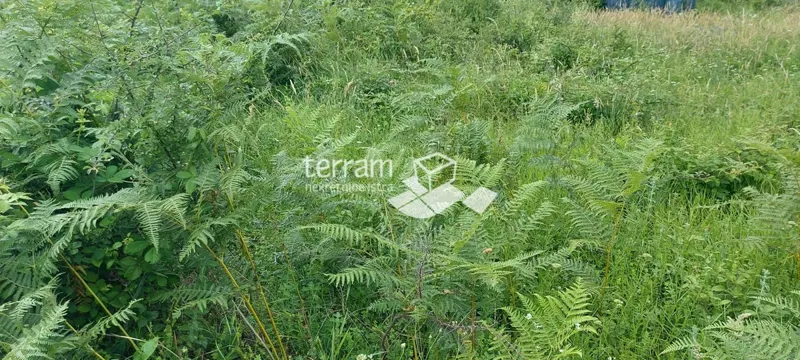 Telek Barban – 2