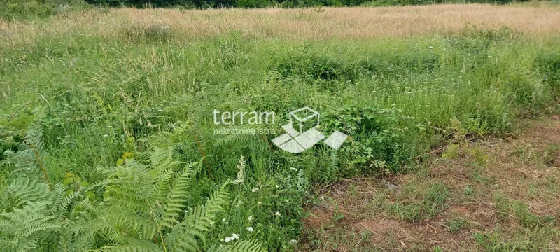 Telek Barban – 3