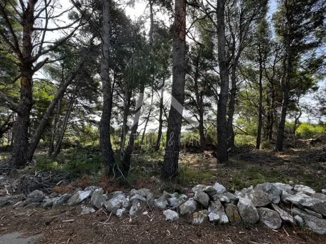 Terreno Vir – 3