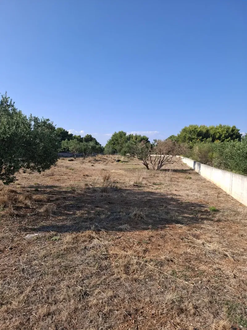 Business land, Vodice – 2