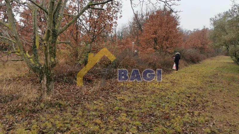 Terreni agricoli Babići, Umag, 420m2 – 2