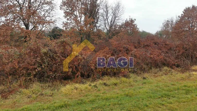Terreni agricoli Babići, Umag, 420m2 – 3
