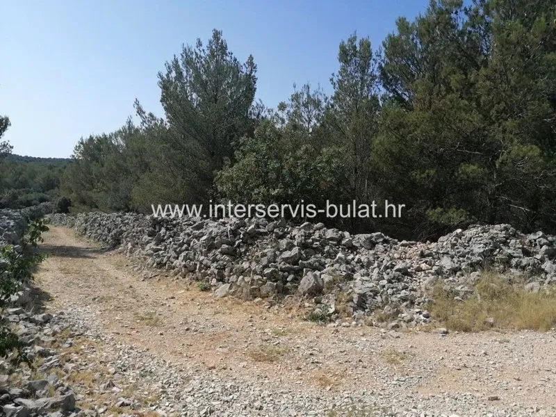 Telek Brodarica – 2