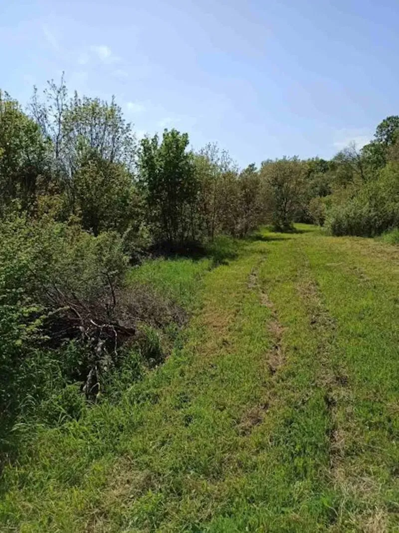 Building plots, Pavićini, 1100m2 and 1200m2 – 2