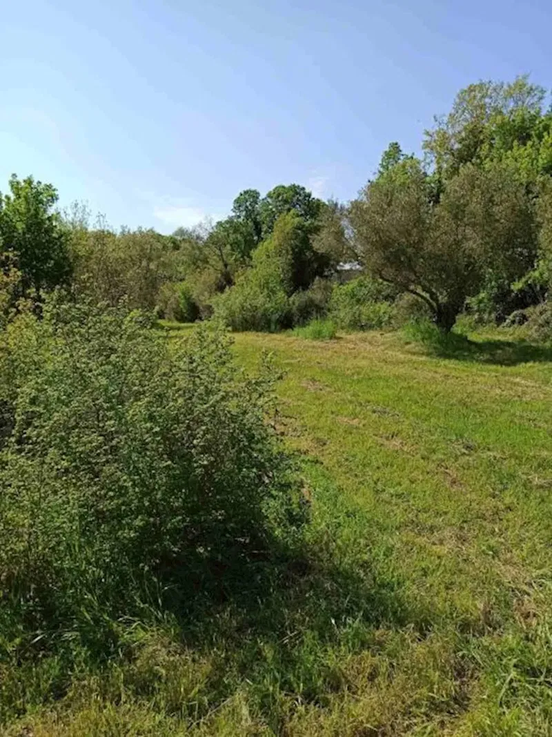 Building plots, Pavićini, 1100m2 and 1200m2 – 3