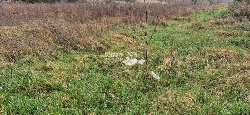 Istria, Kanfanar, vecchia casa in pietra, giardino di 1200 m2, infrastruttura completa, da ristrutturare!! – 3
