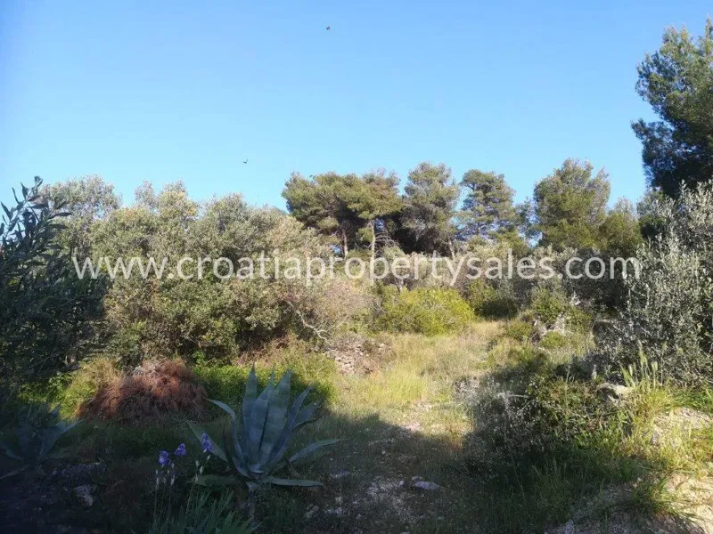 Murter, agricultural land for sale, 390.000 € – 3