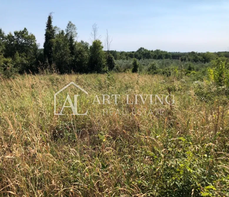 Novigrad-okolica, gradbeno zemljišče 3618 m2 s pogledom na morje – 2