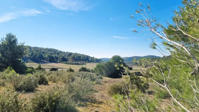 Vis island - Attractive agricultural land of 10,700 m2 – 2