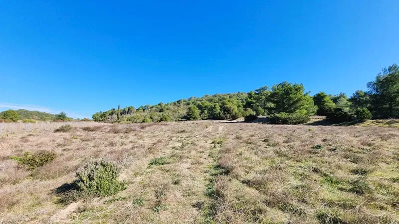 Vis island - Attractive agricultural land of 10,700 m2 – 3