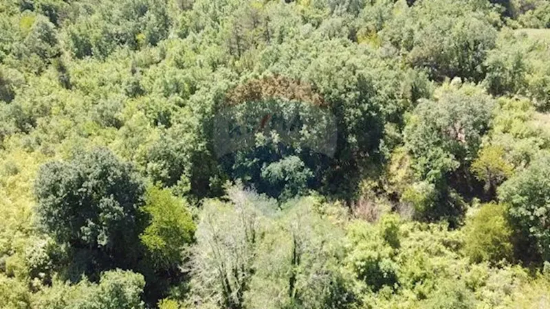 Terreno non edificabile Baderna, Poreč, 6.117m2 – 2
