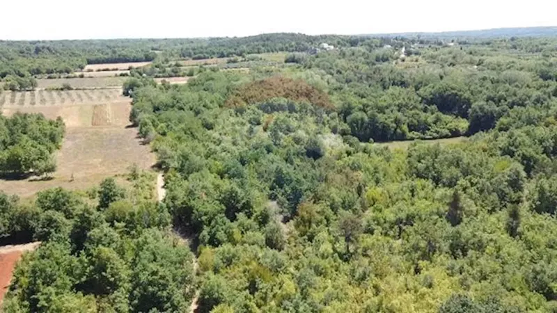 Terreno non edificabile Baderna, Poreč, 6.117m2 – 3