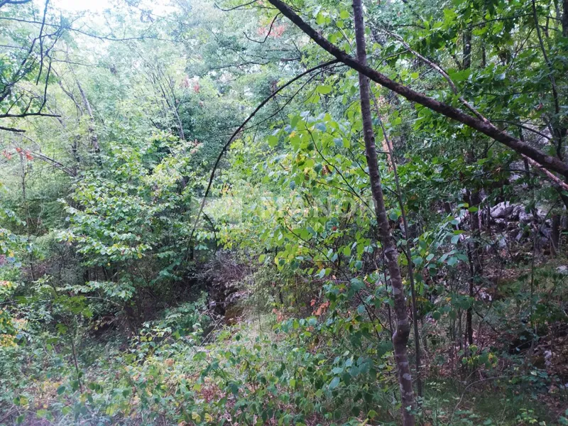Land Permani, Matulji, 8.000m2 – 2