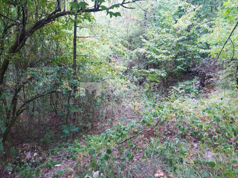 Land Permani, Matulji, 8.000m2 – 3