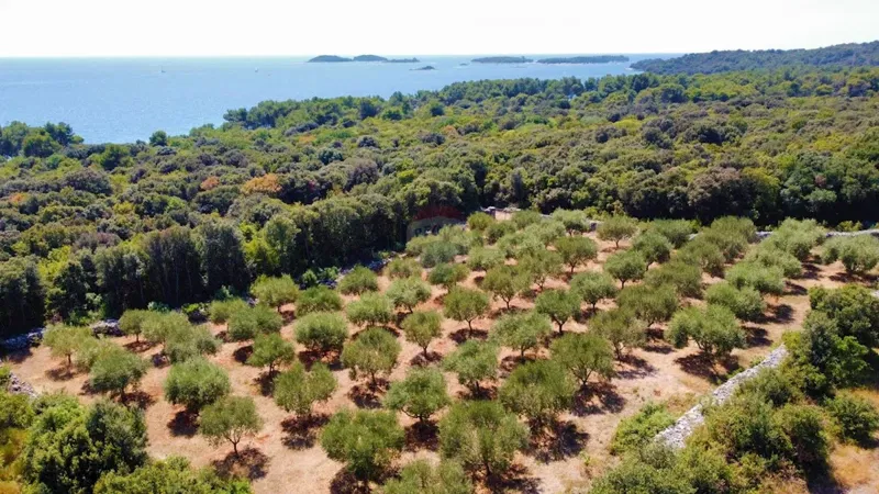 Земельный участок нестроительного назначения Rovinj, 3.223m2 – 2