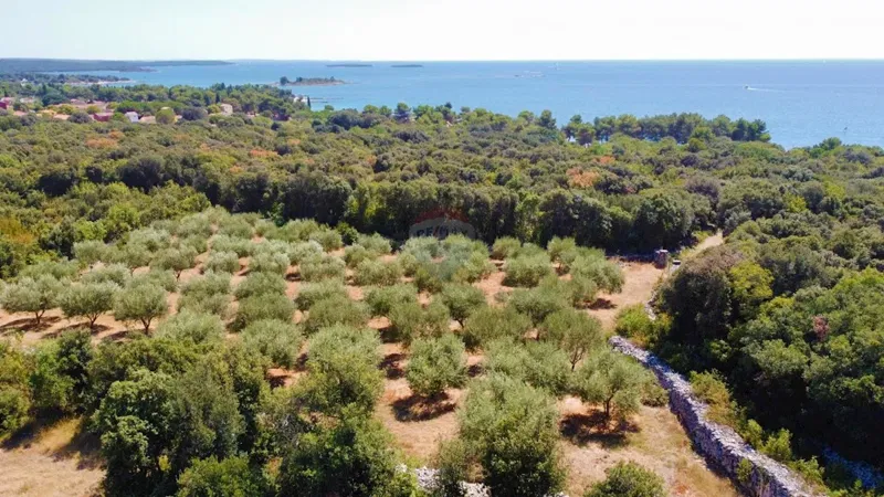Земельный участок нестроительного назначения Rovinj, 3.223m2 – 3