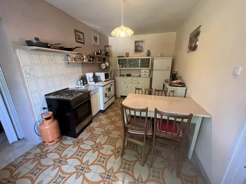 House with a swimming pool and a large garden in a quiet location – 3